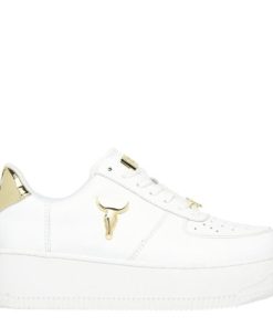 Amandabauer.shop0aa0256ff0 1