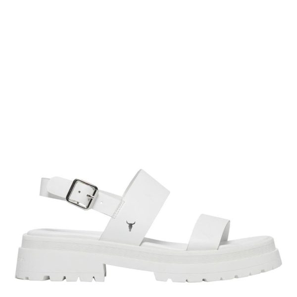 Amandabauer.shop3bb30f5368 1