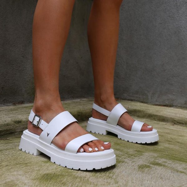 Amandabauer.shop3bb30f5368 2