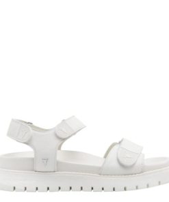 Amandabauer.shop6711b63573 1