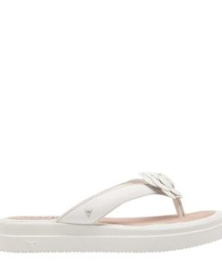 Amandabauer.shop7ab9ffd7d5 1